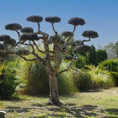 Ca Na Catalina - Marina Nova Villa *
