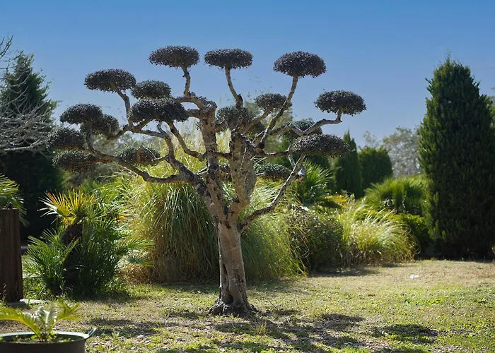 Ca Na Catalina - Marina Nova Willa *